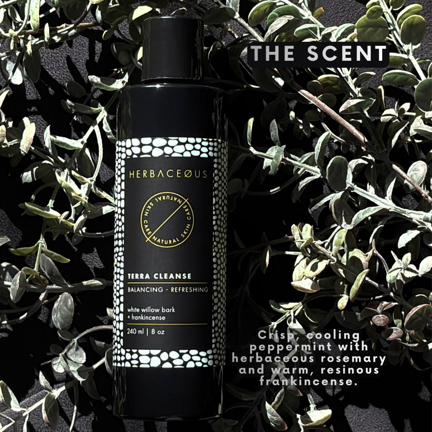 Herbaceous bottle of Terra Cleanse on a leafy background