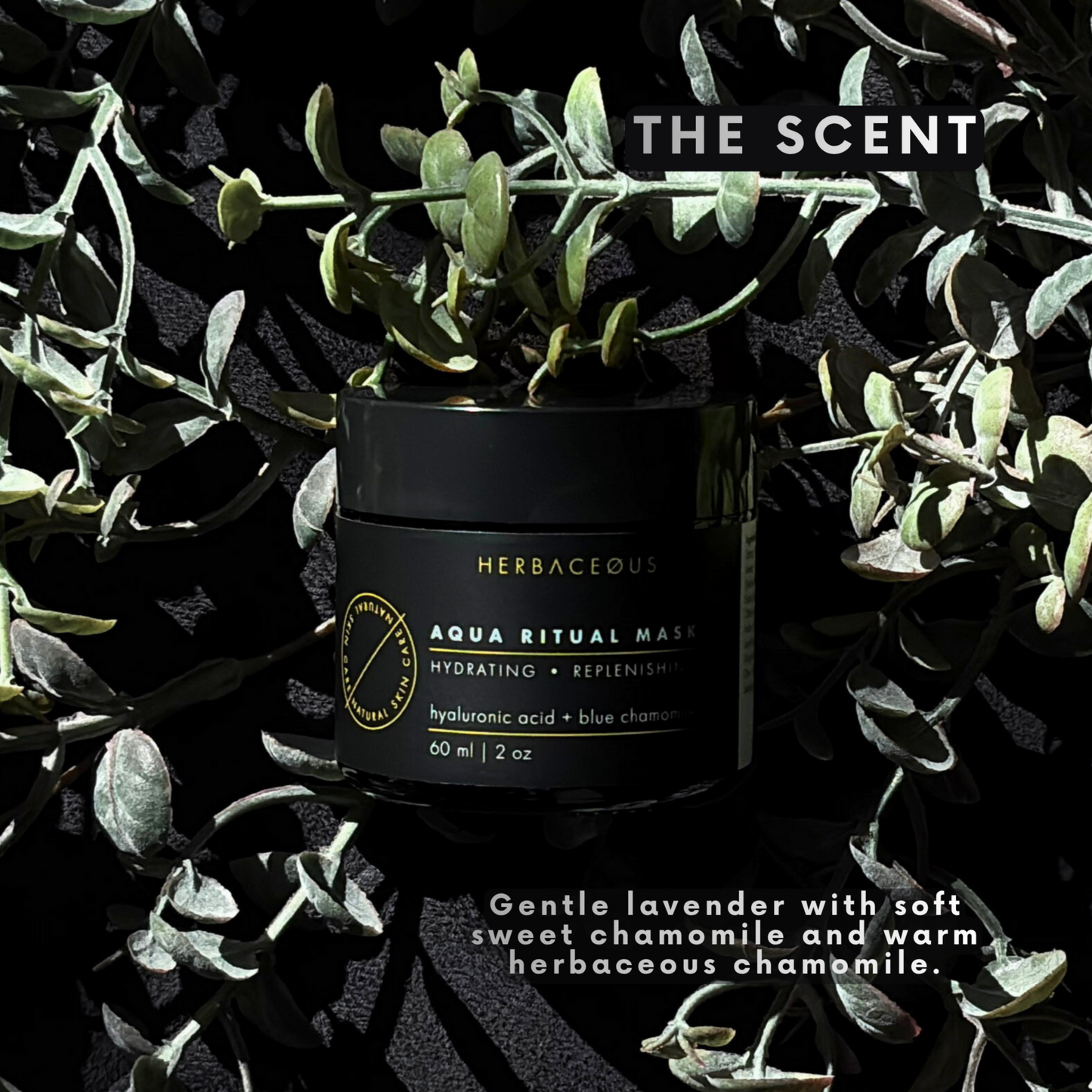 Black jar of 'Herbaceous Aqua Ritual Mask' surrounded by green leaves on a dark background