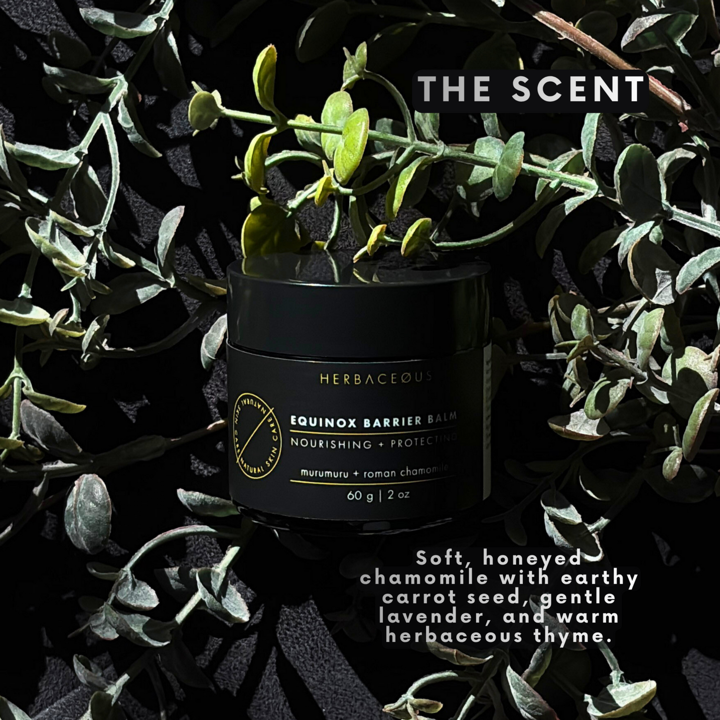 Black container of Equinox Barrier Balm surrounded by green leaves with product description text.