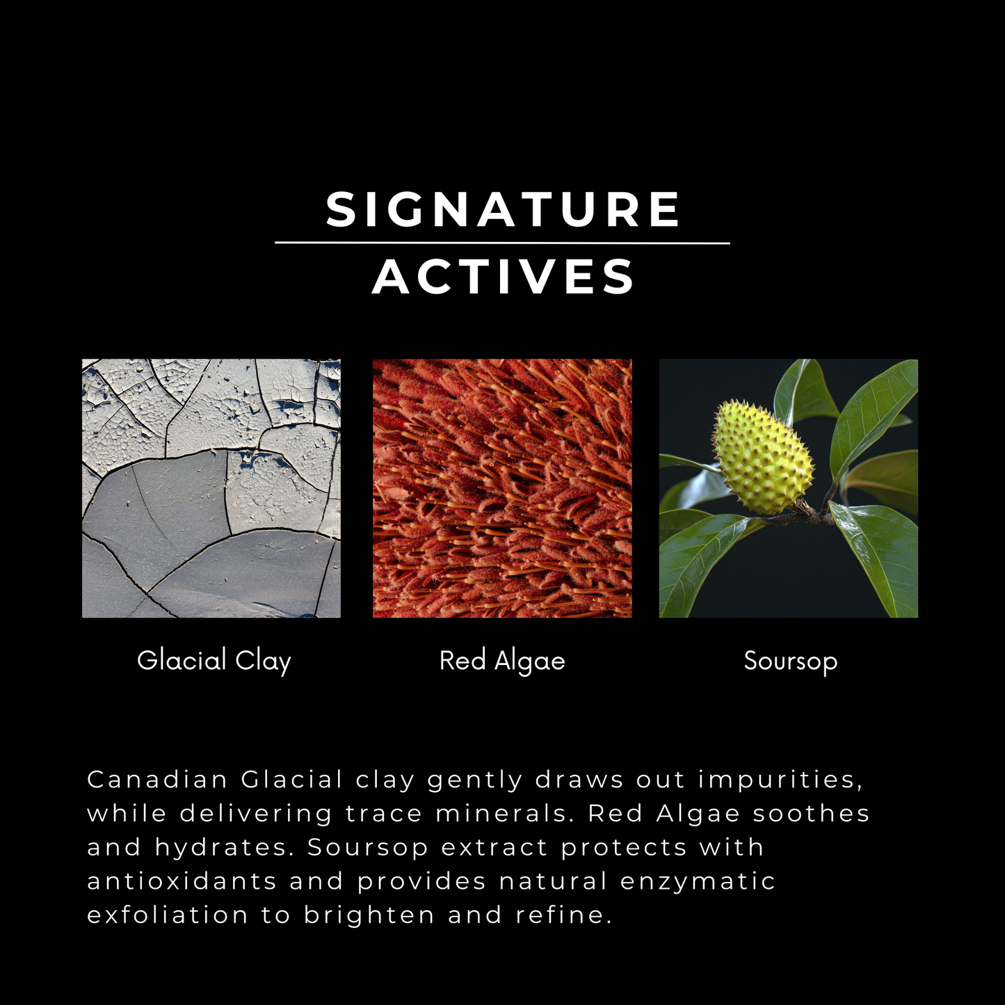 Three images of glacial clay, red algae, and soursop with text describing their properties.