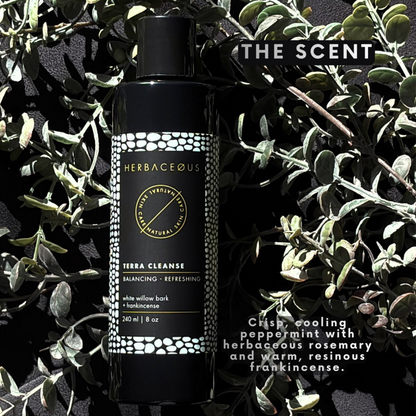 Herbaceous bottle of Terra Cleanse on a leafy background